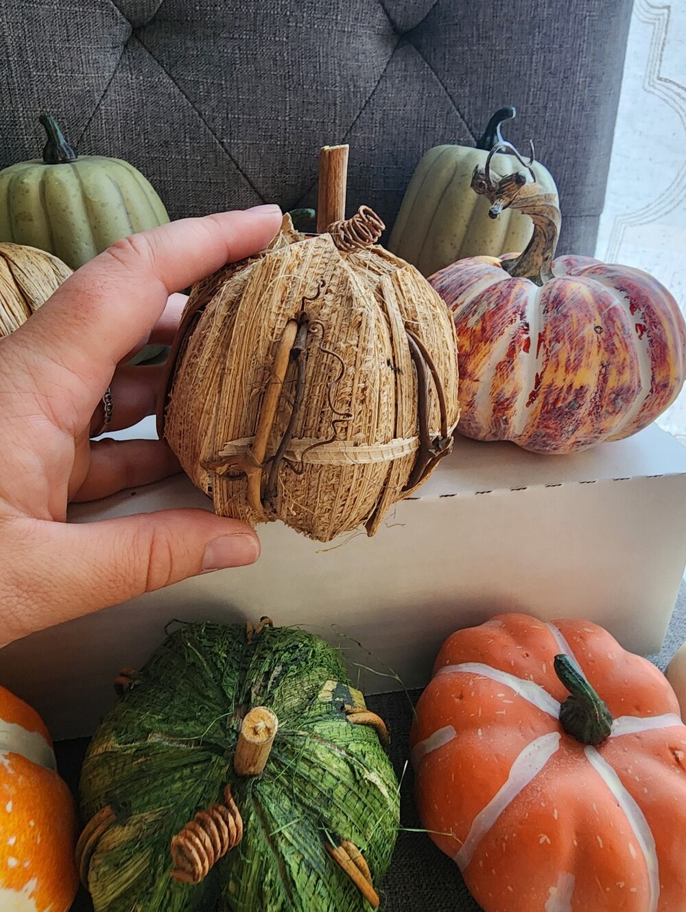 Assorted Mini Pumpkins - Picture 8 of 11